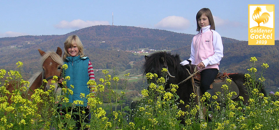 Bauernhofurlaub mit Ponyreiten für Kinder in Schöllnach, Bayern